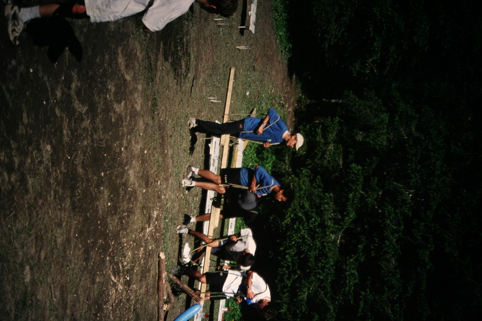 Bild 141