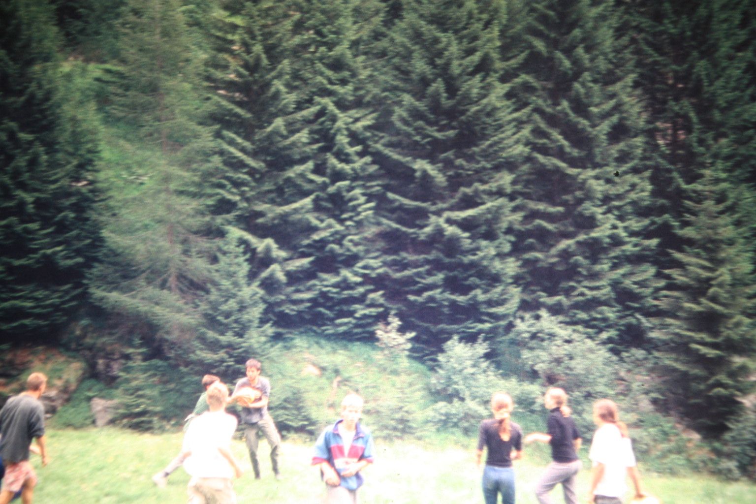 Bild 22