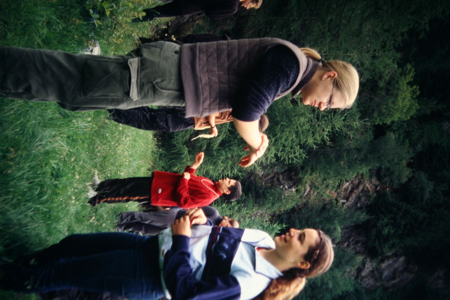 Bild 33