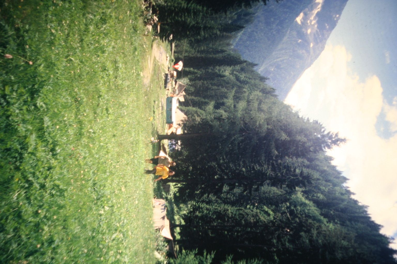 Bild 52