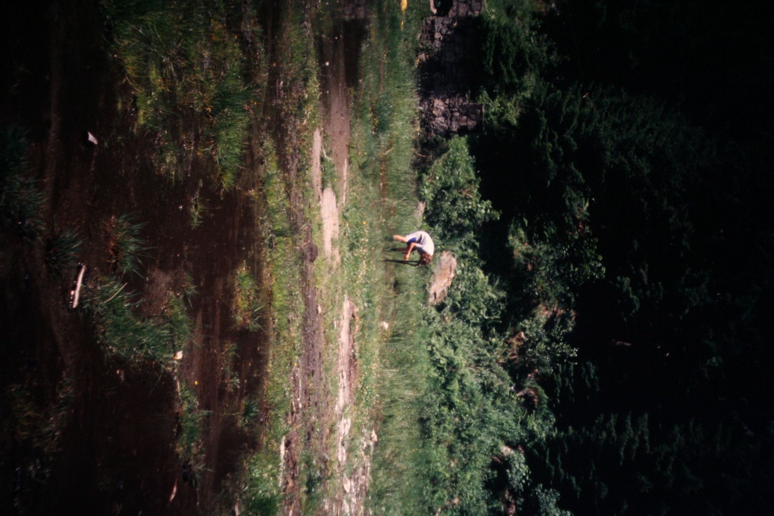 Bild 63