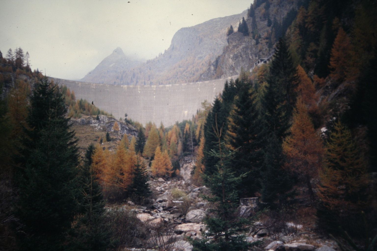 Bild 98