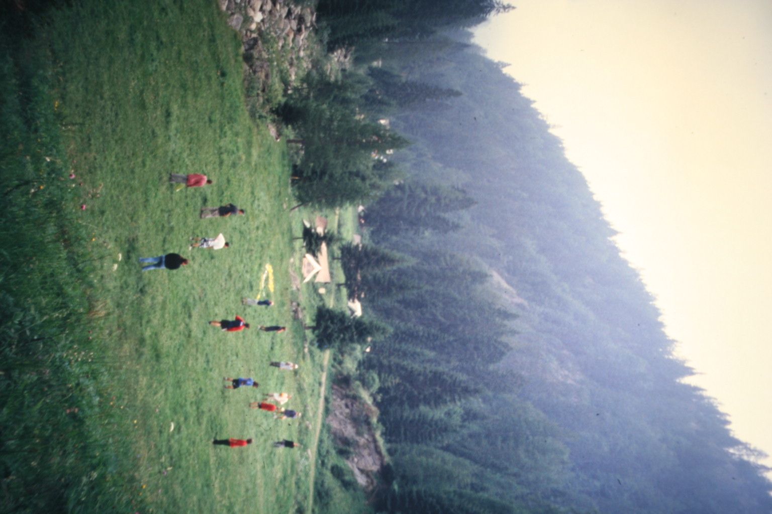 Bild 173