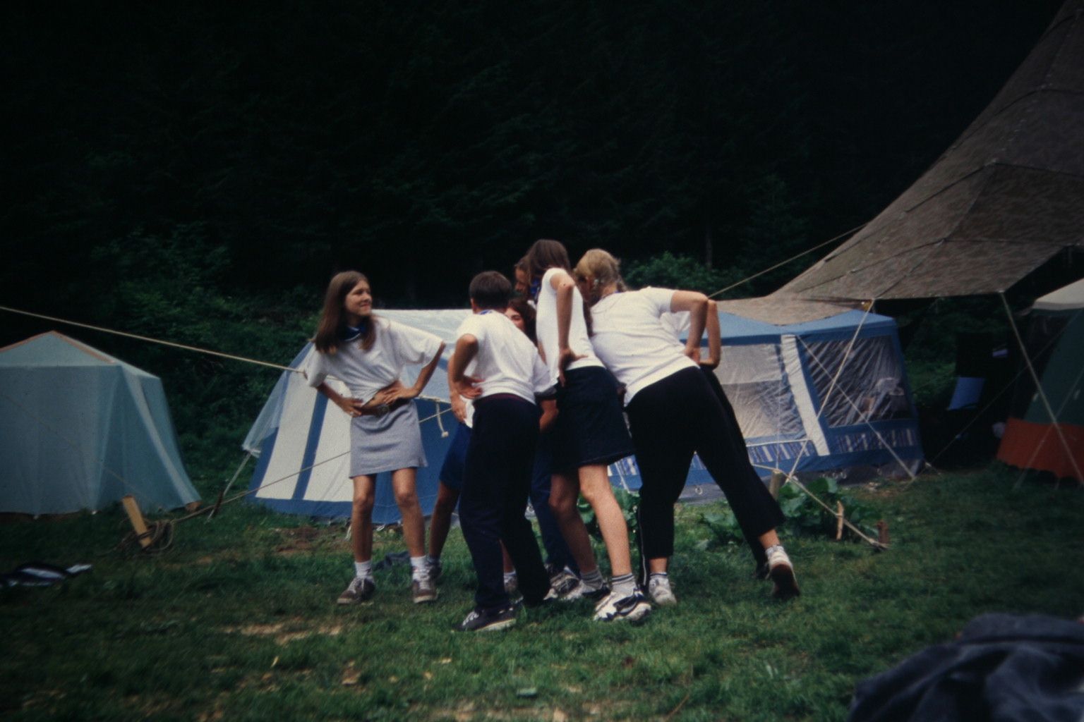 Bild 184