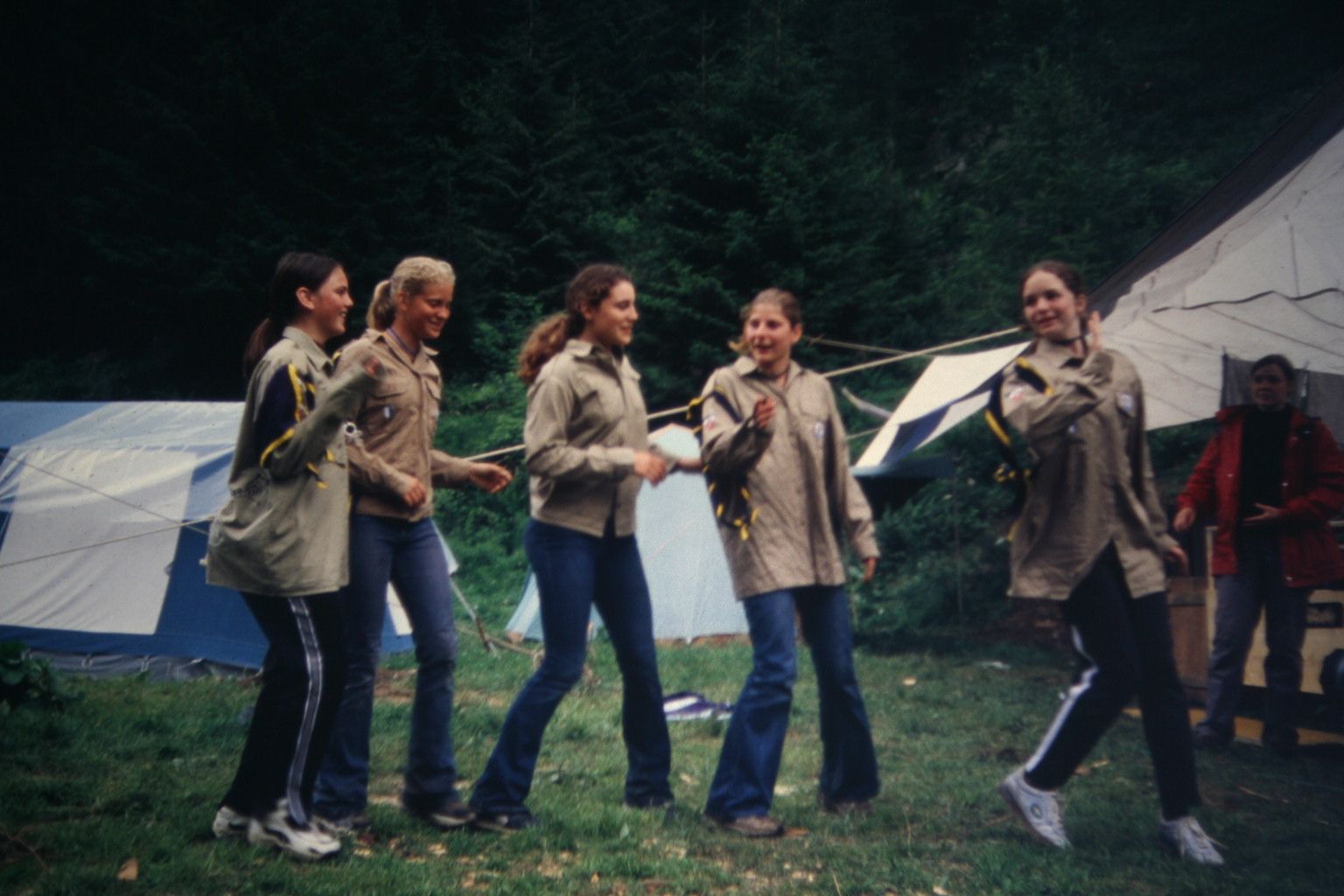 Bild 196