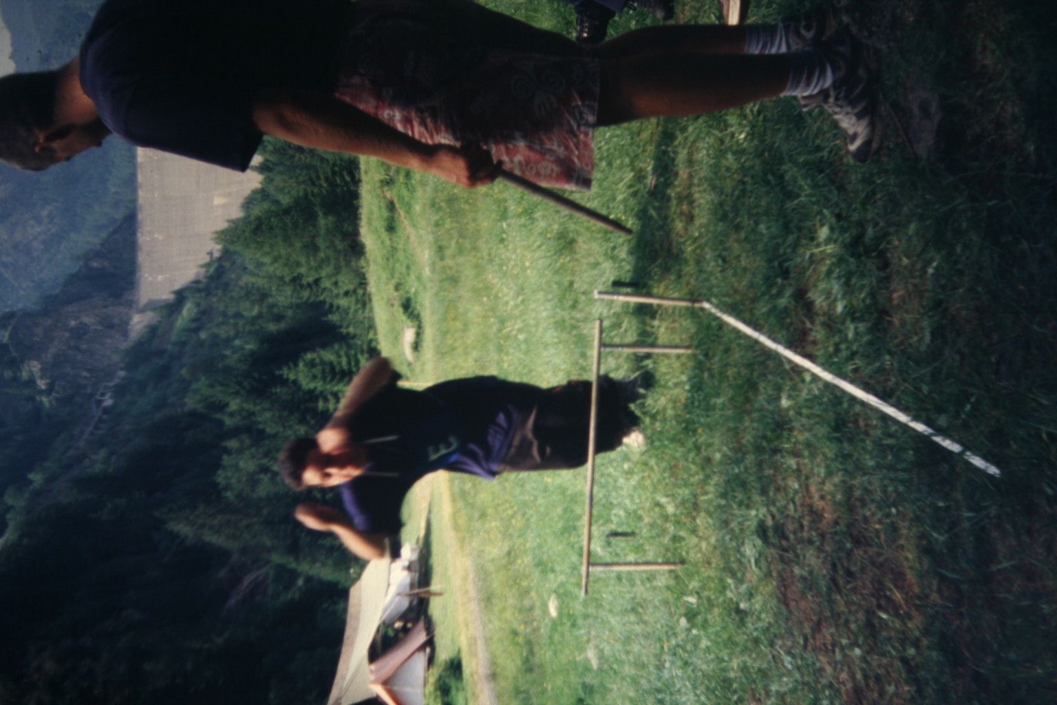 Bild 197