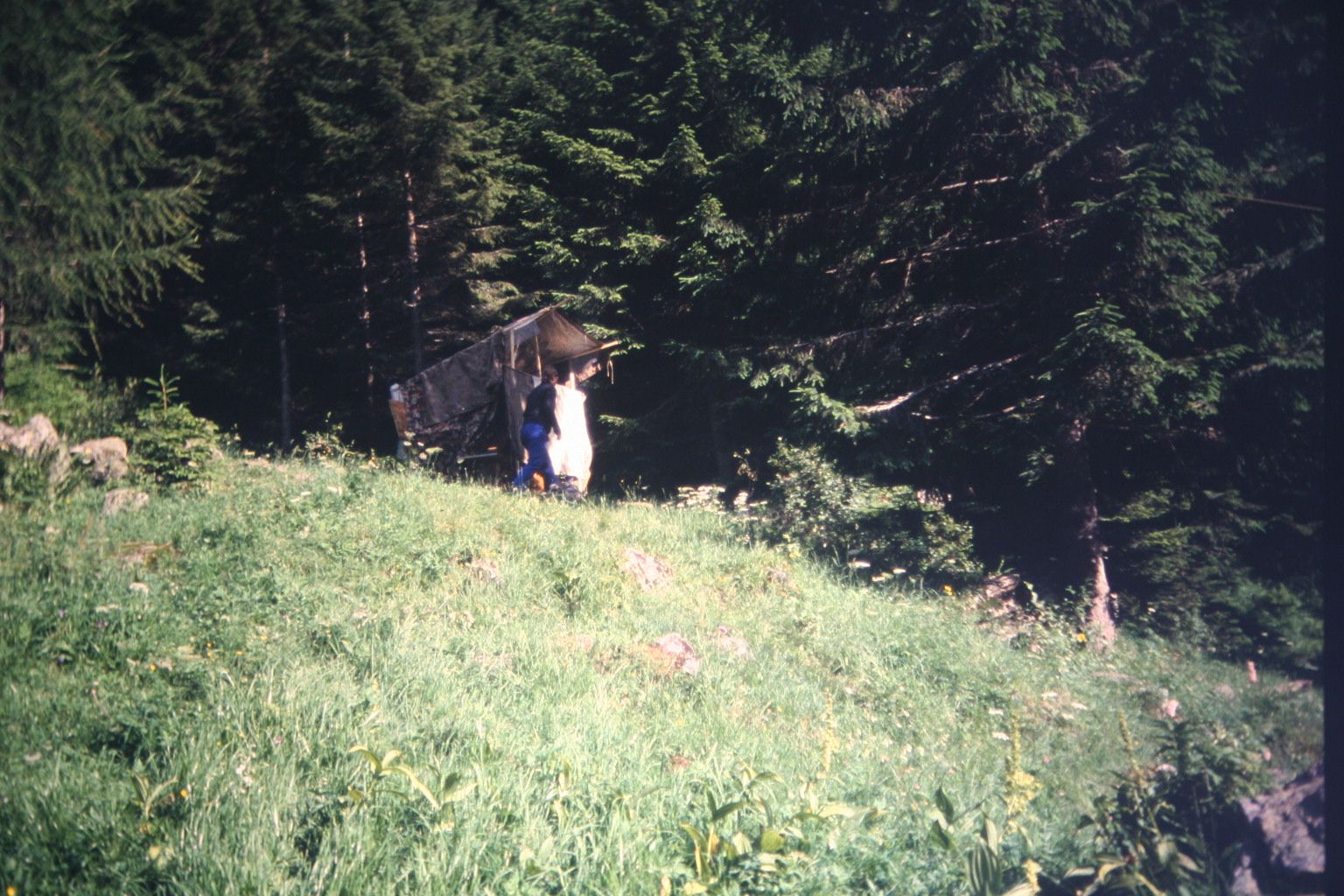 Bild 225