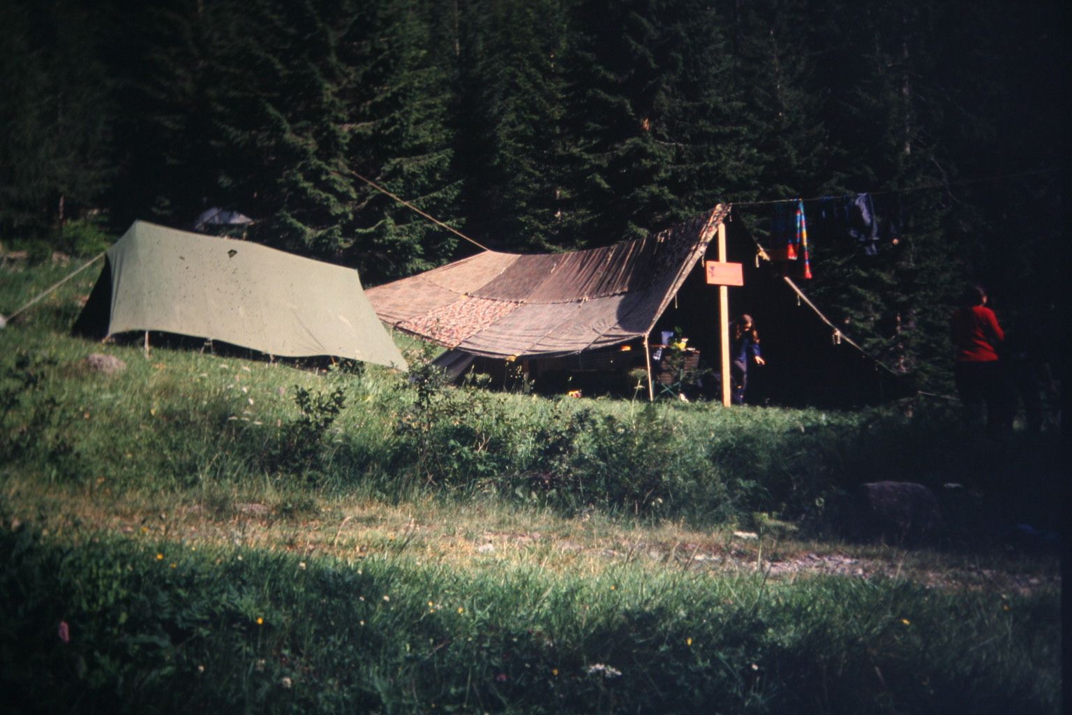 Bild 227