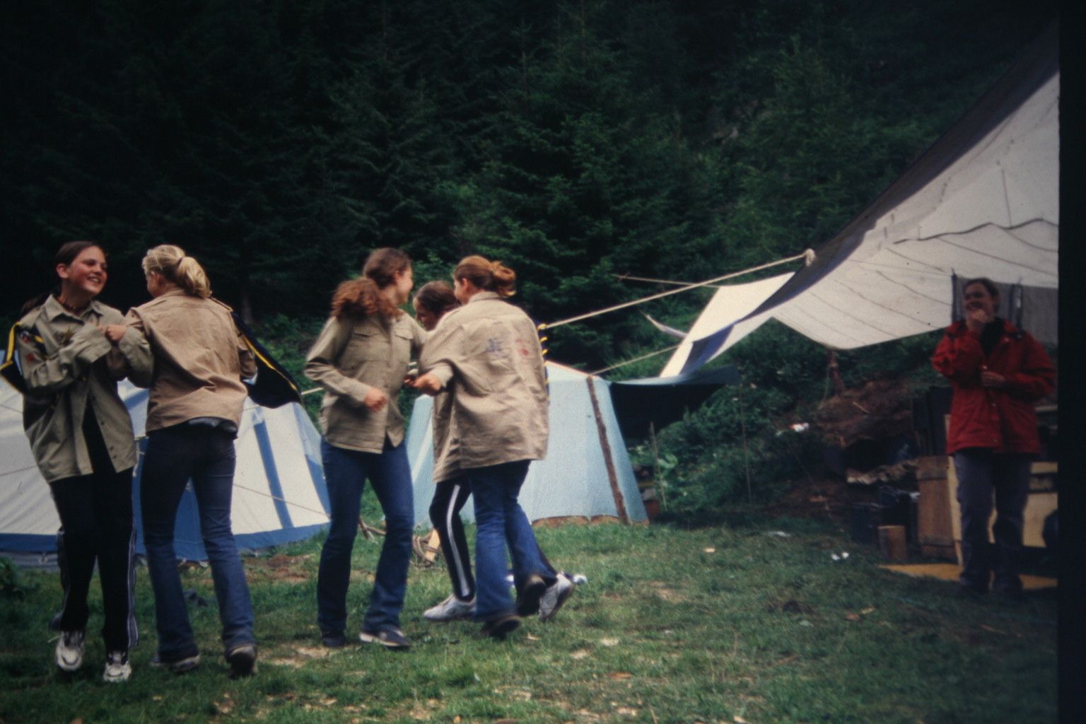 Bild 229