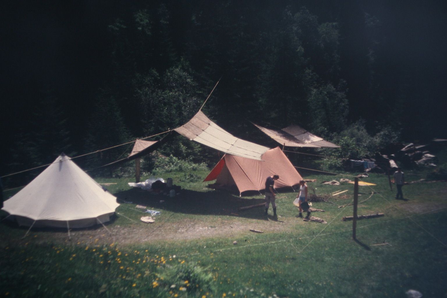 Bild 257