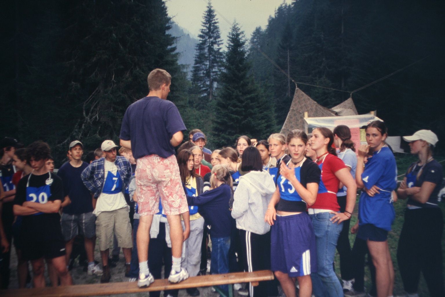 Bild 294