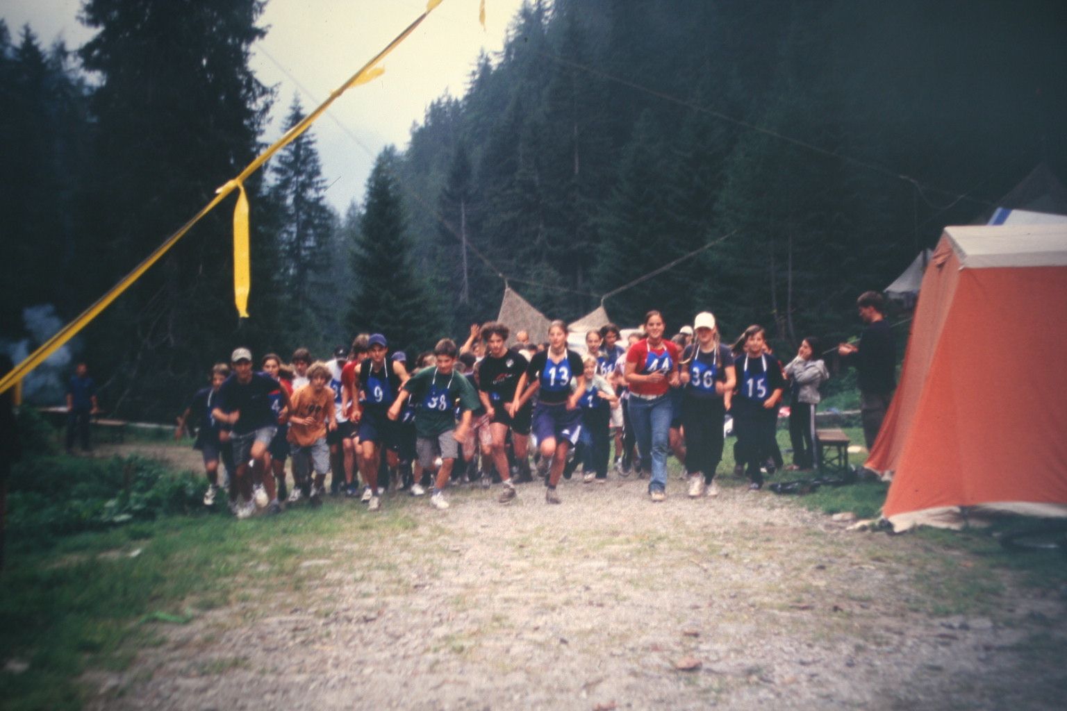 Bild 295