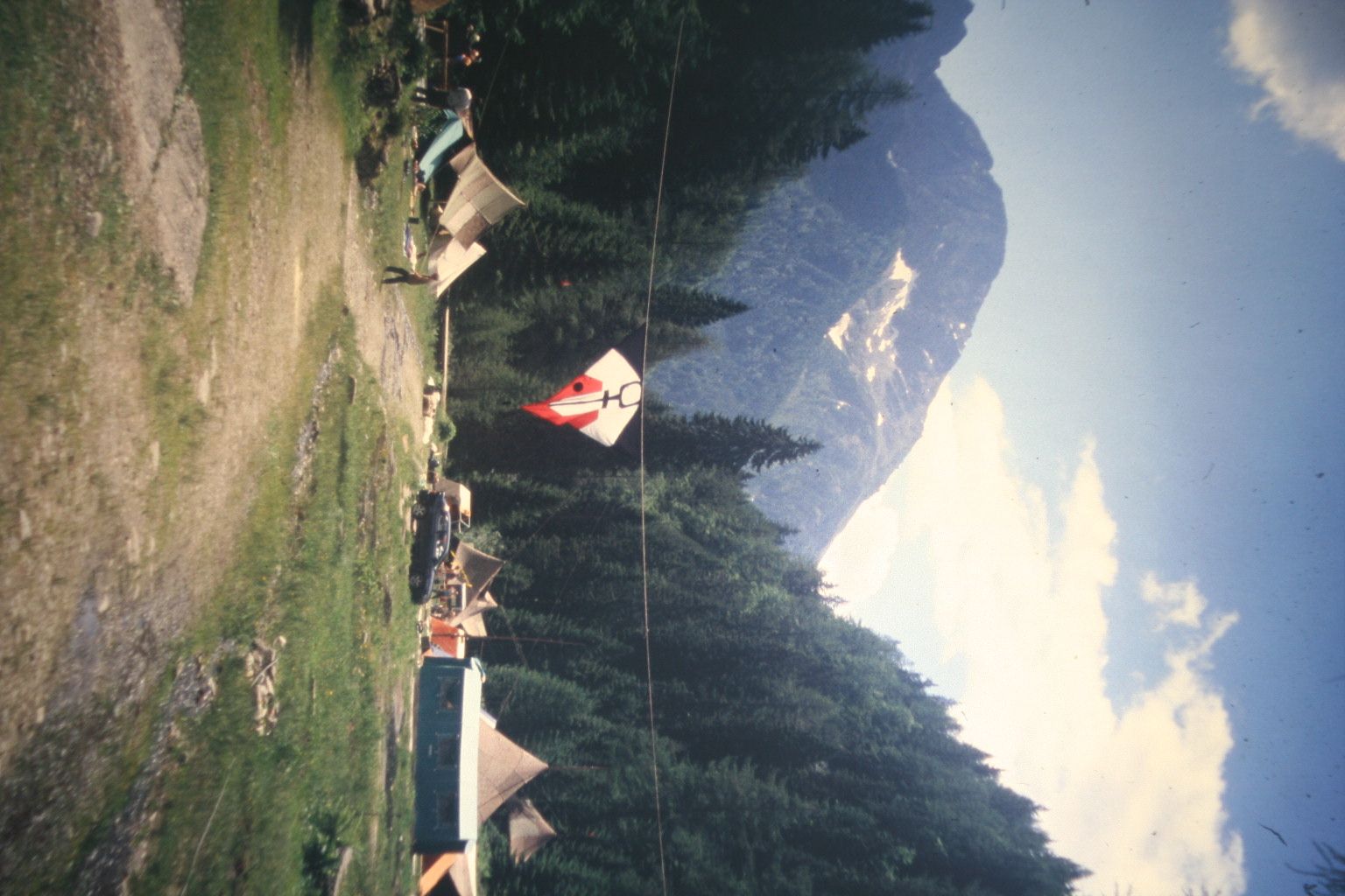 Bild 299