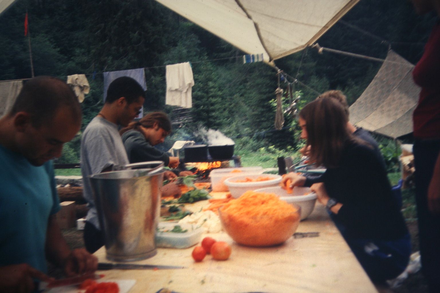 Bild 318
