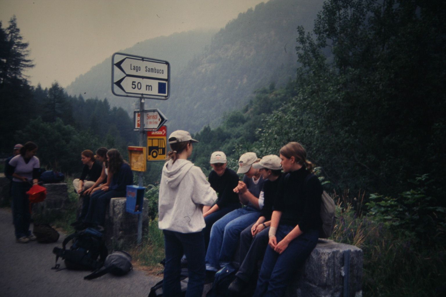 Bild 339
