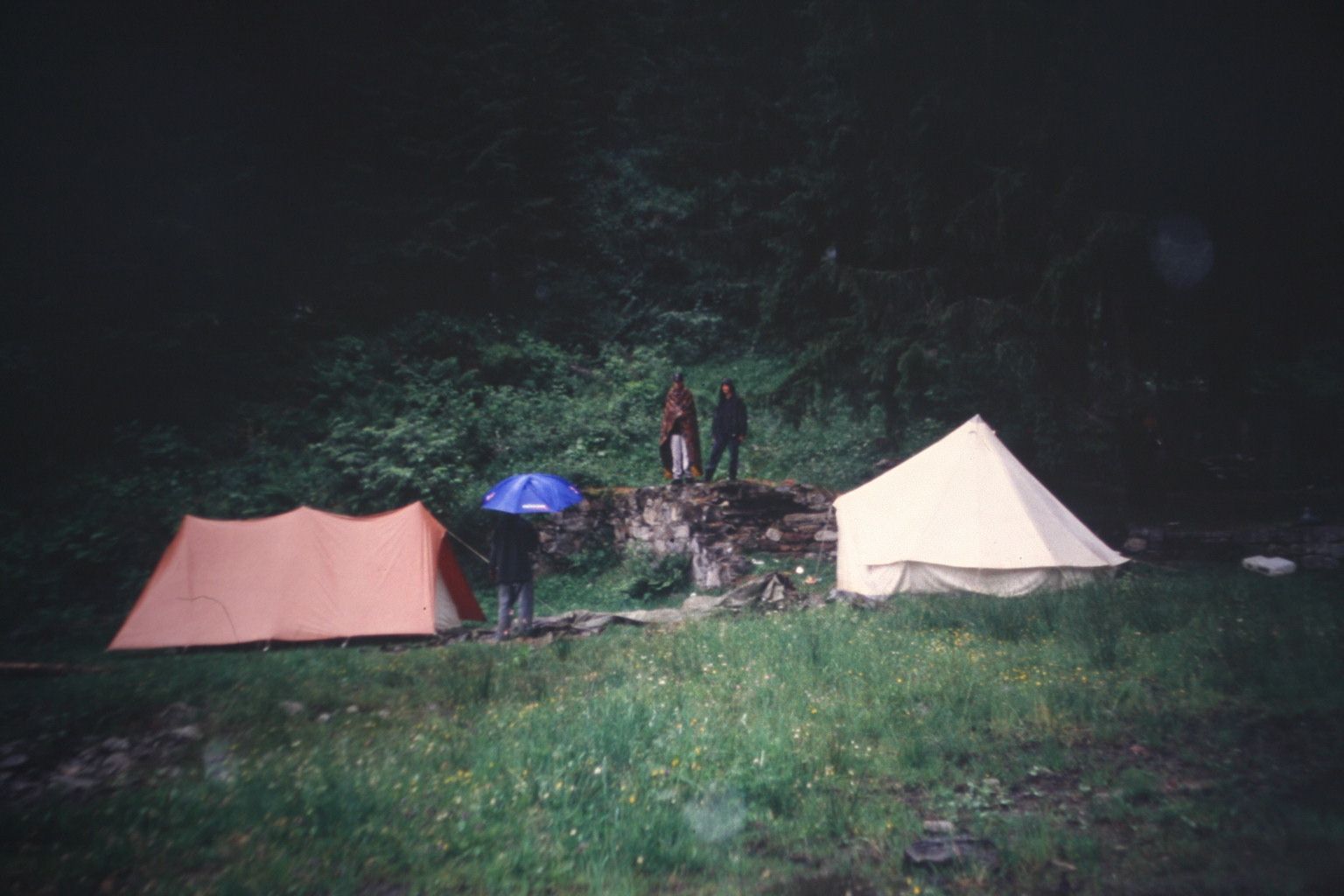 Bild 376