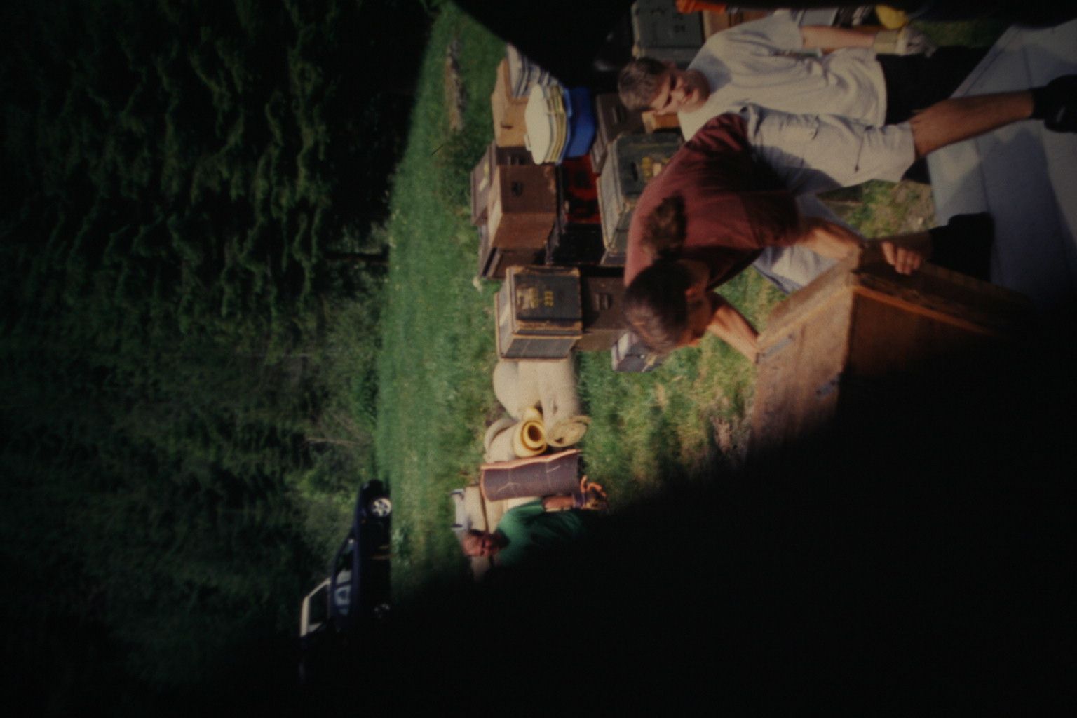 Bild 384
