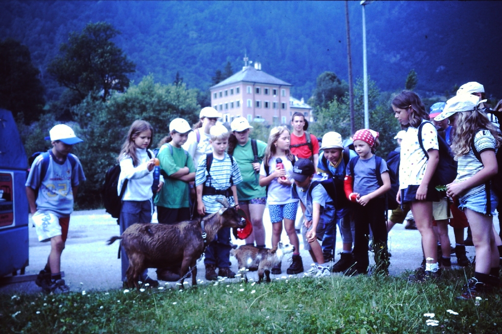 Bild 15