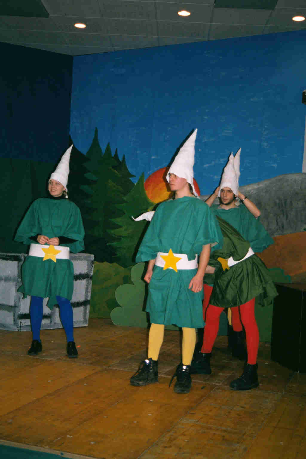 Bild 12