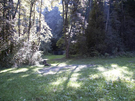 Bild 43