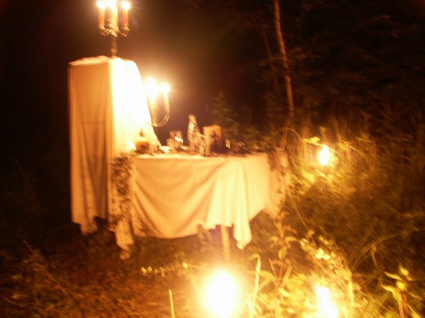 Bild 47