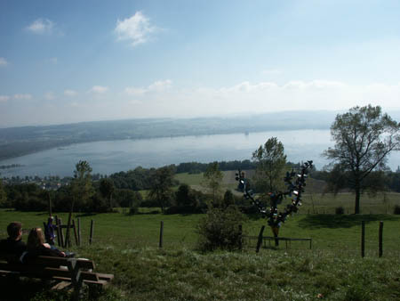 Bild 54