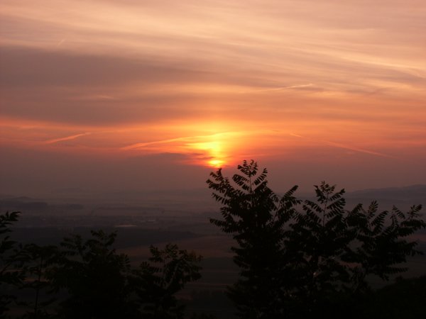 Bild 62