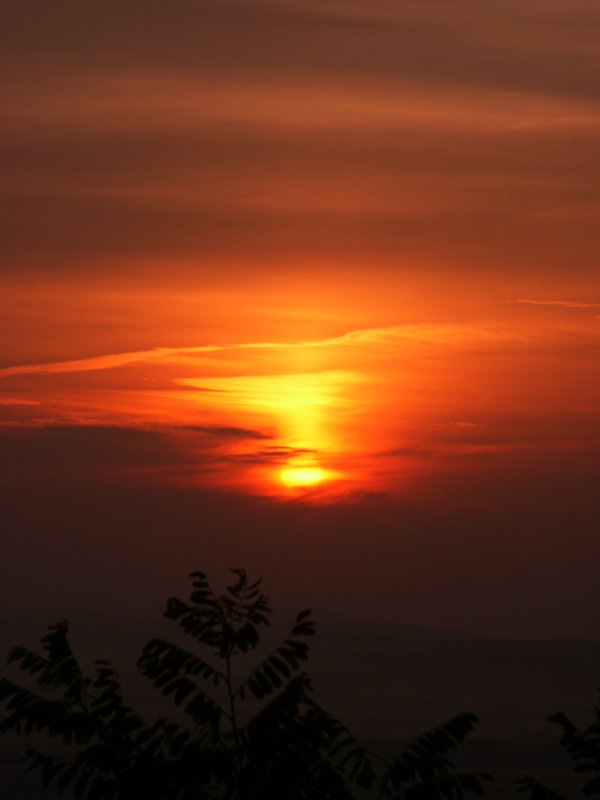 Bild 63