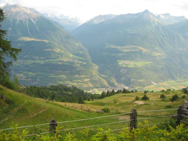 Bild 36