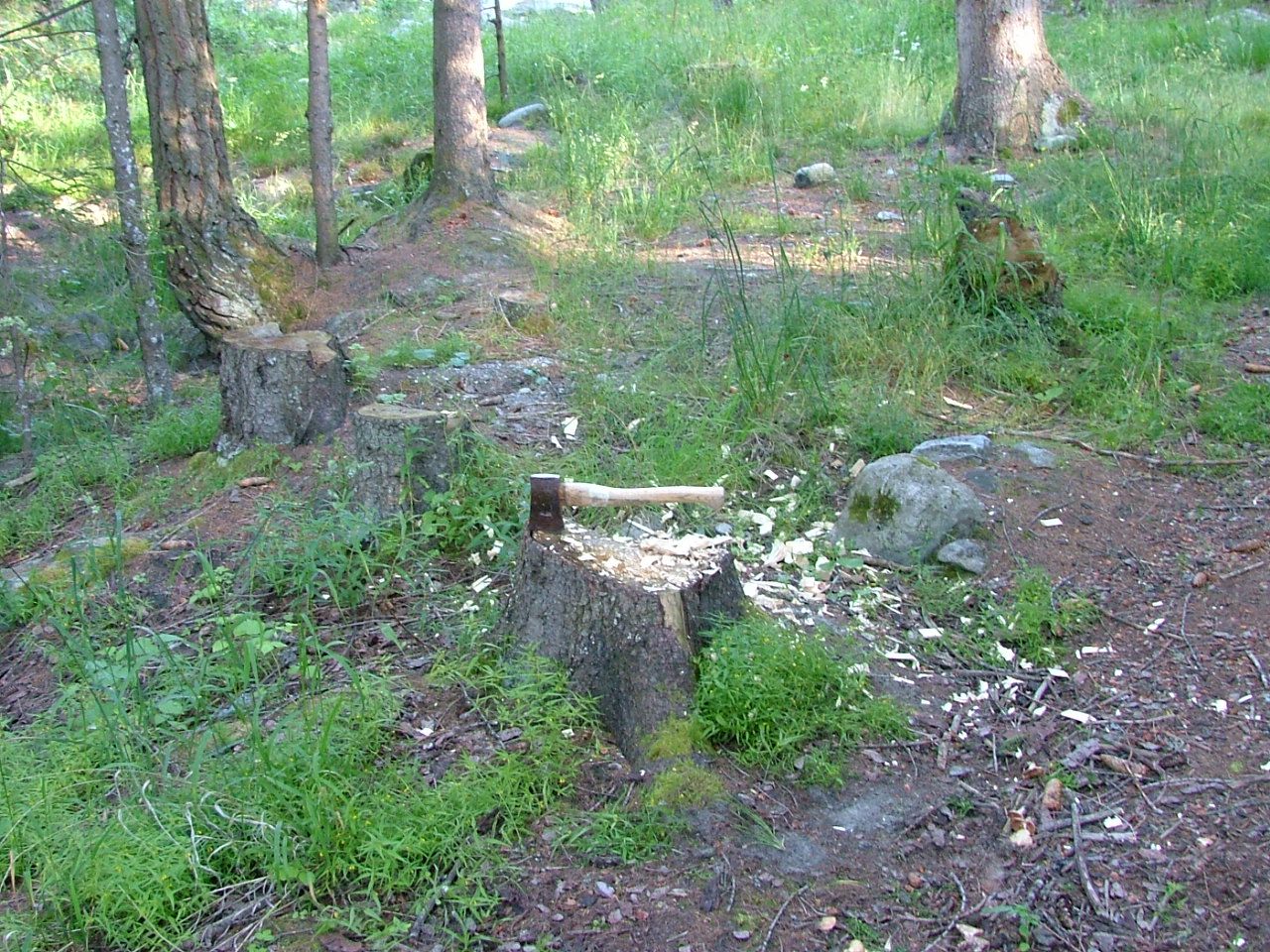 Bild 15