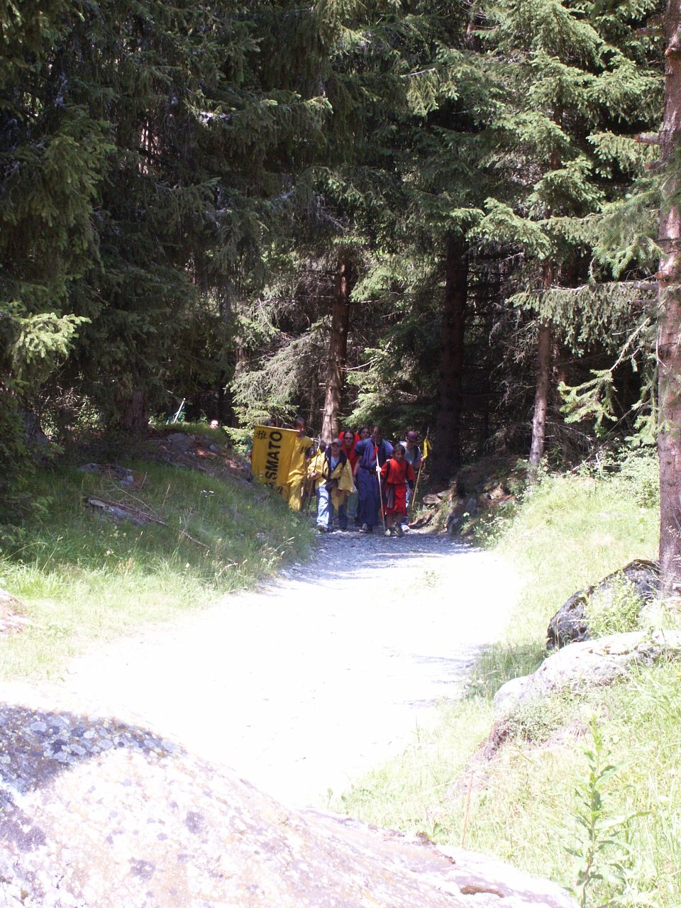 Bild 29