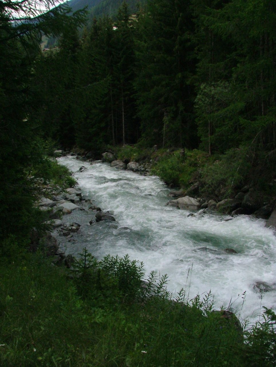 Bild 49
