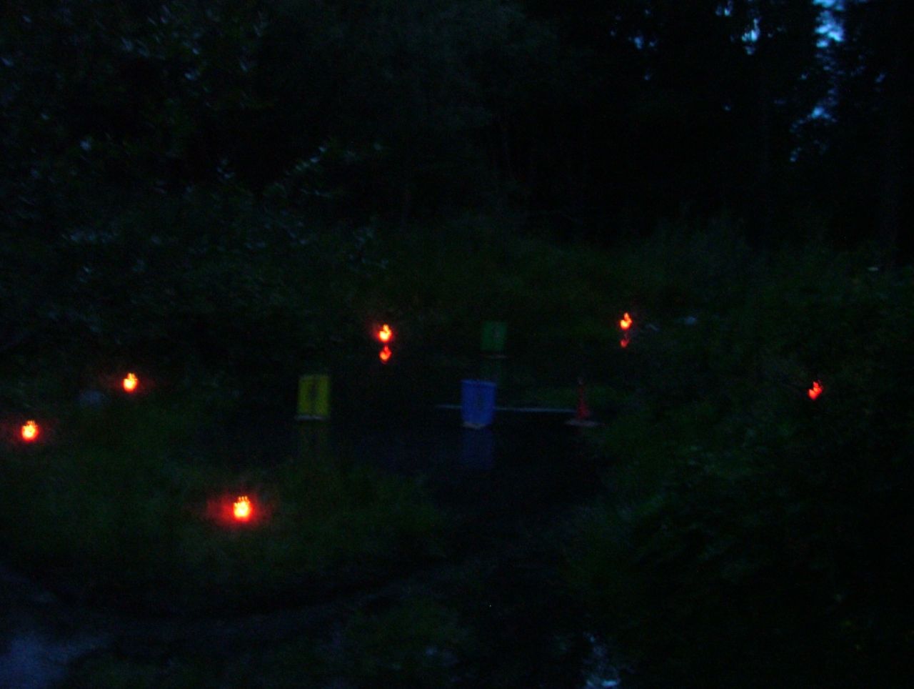 Bild 64
