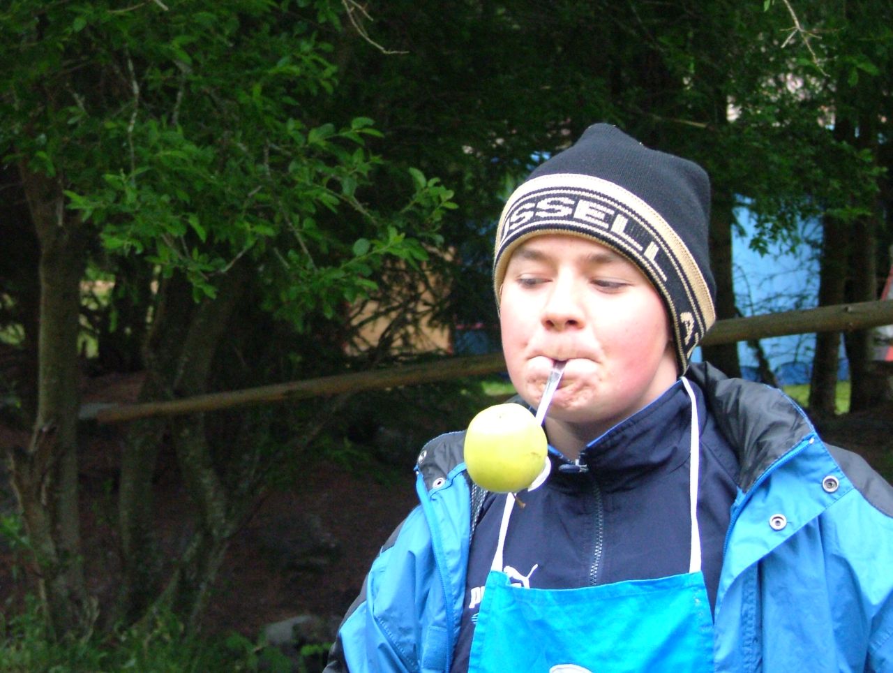 Bild 71