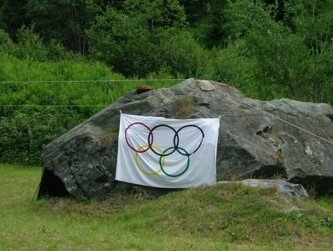 Bild 97