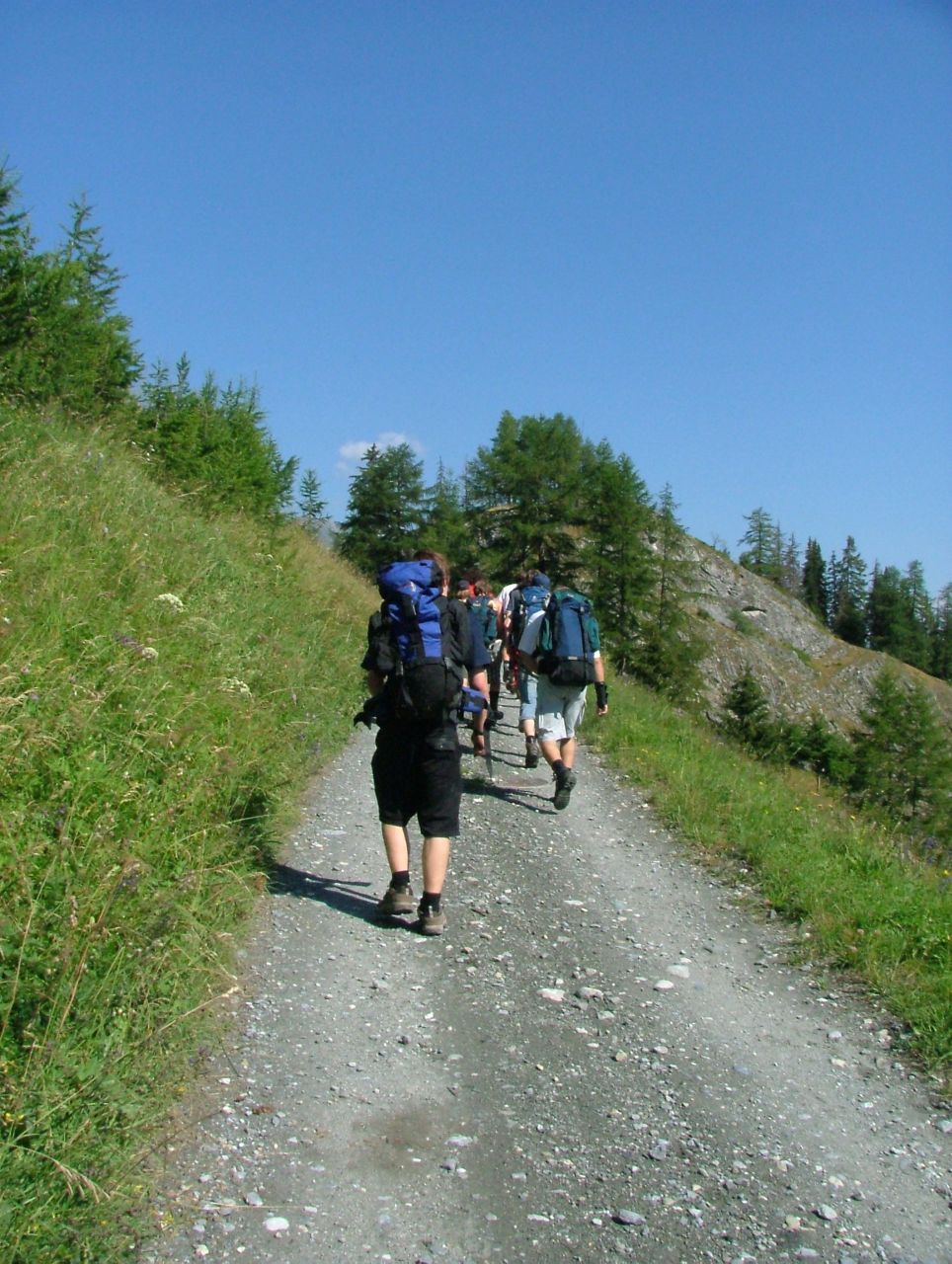 Bild 169