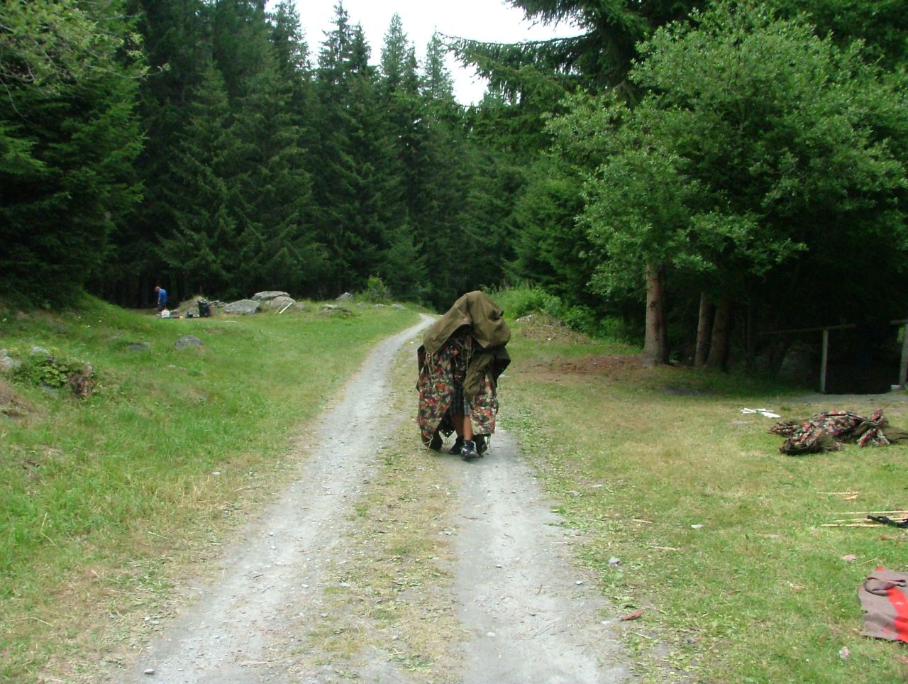 Bild 204