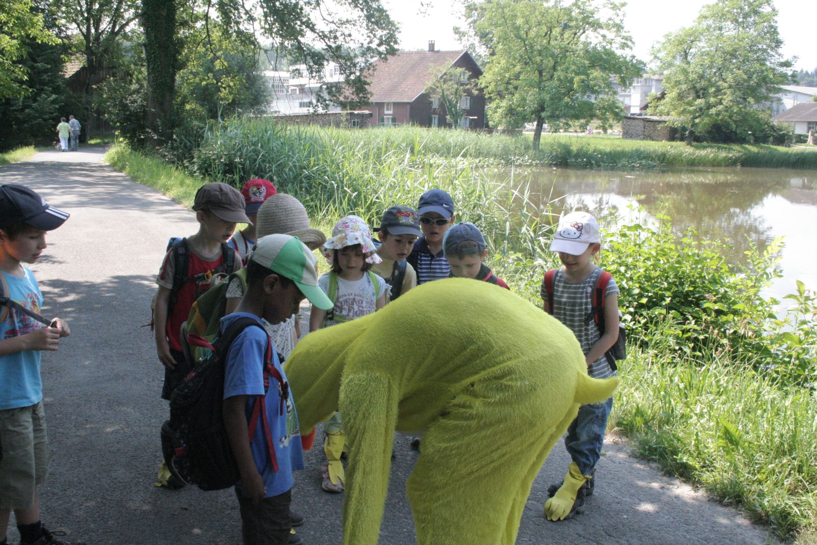 Bild 63