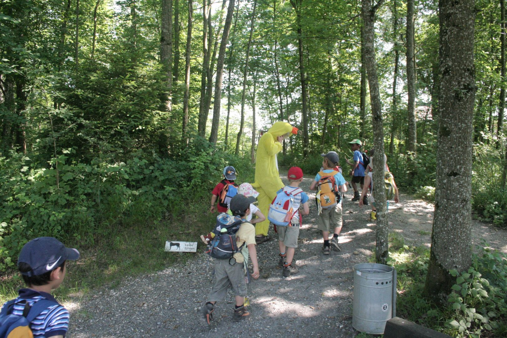Bild 66