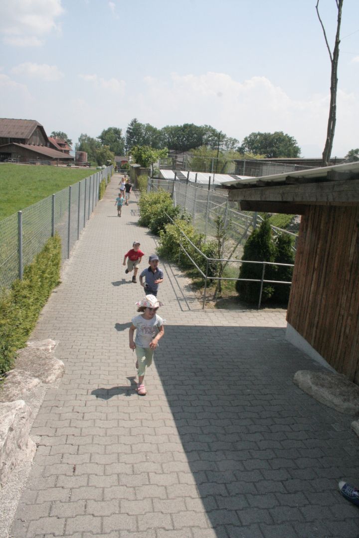 Bild 102
