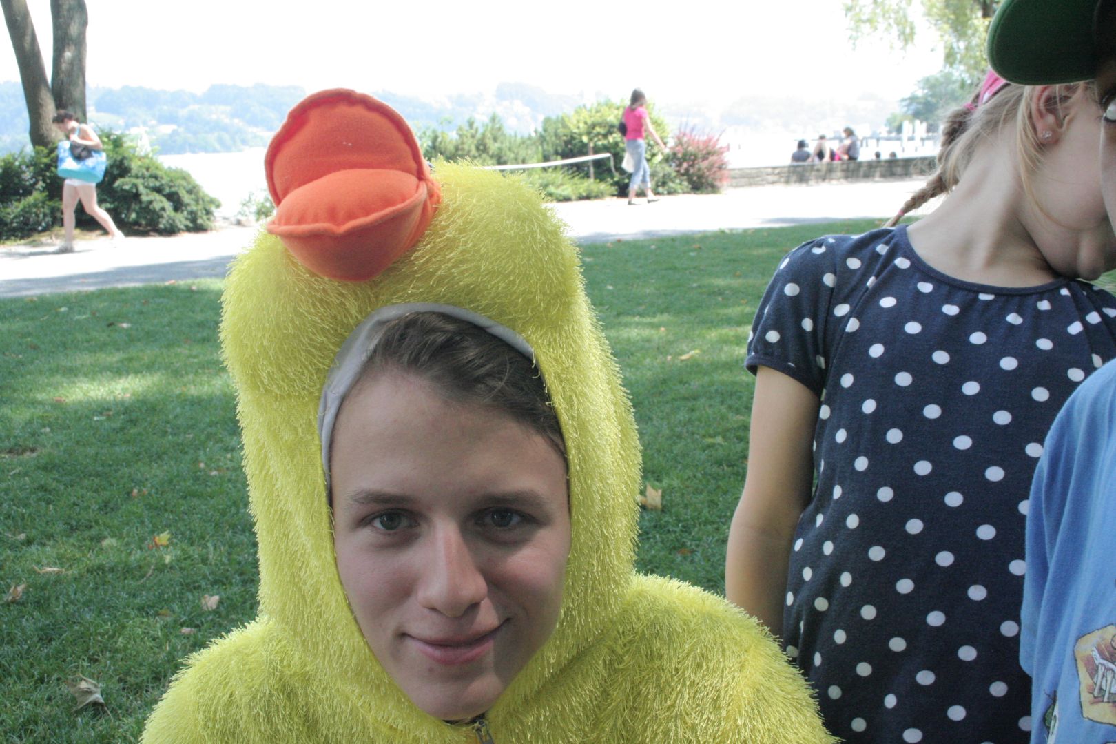 Bild 288
