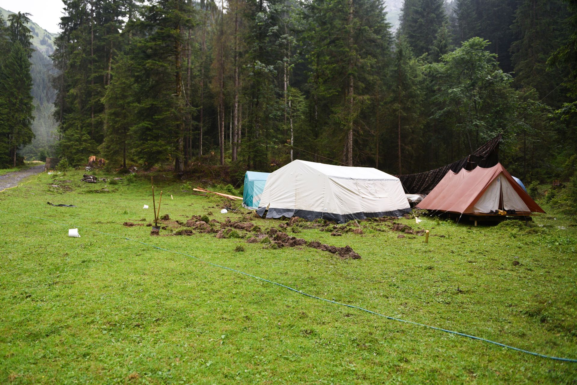 Bild 19