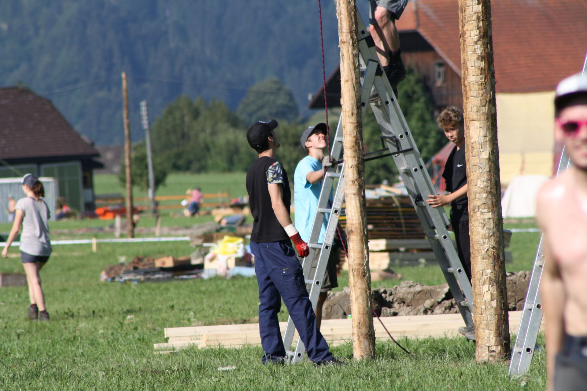 Bild 7