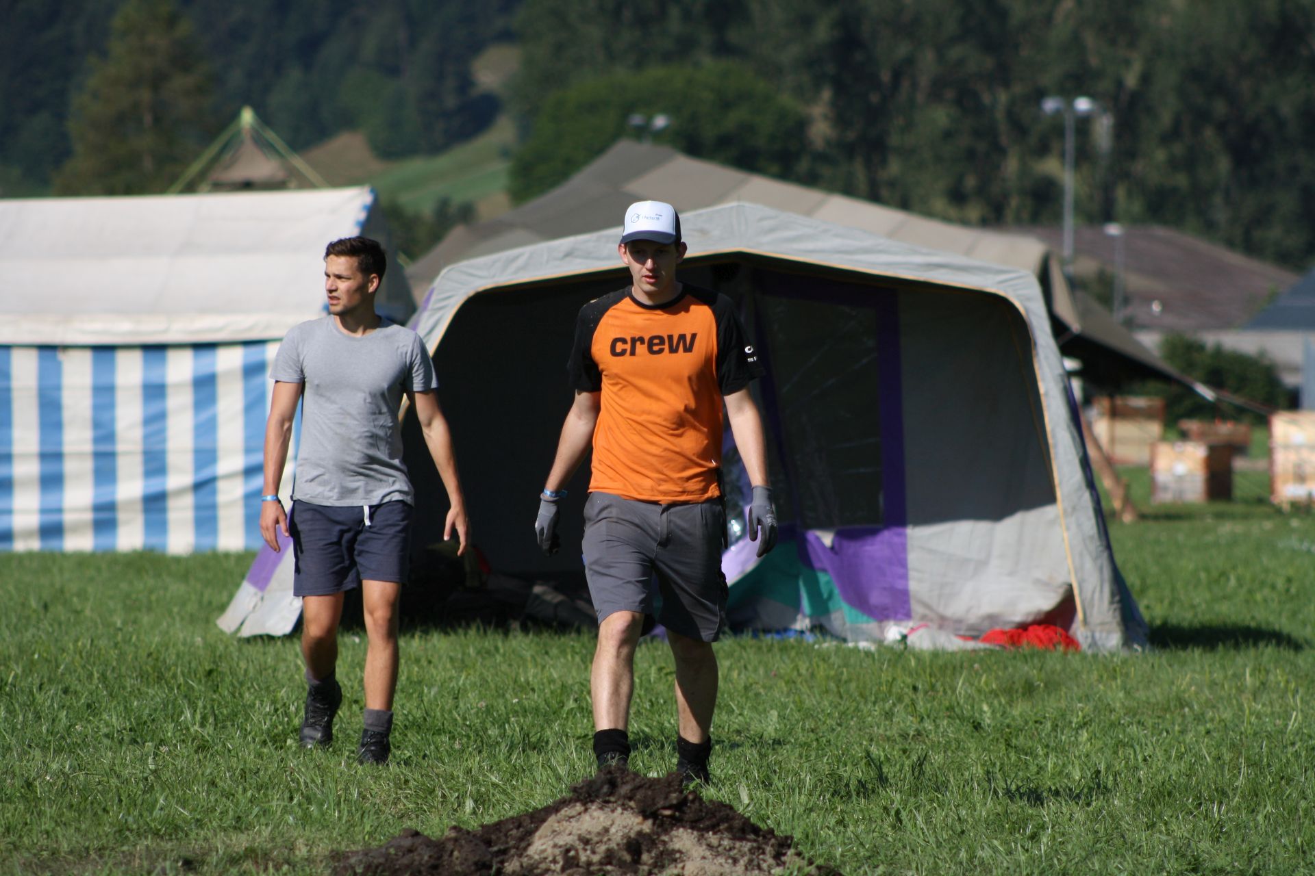 Bild 12