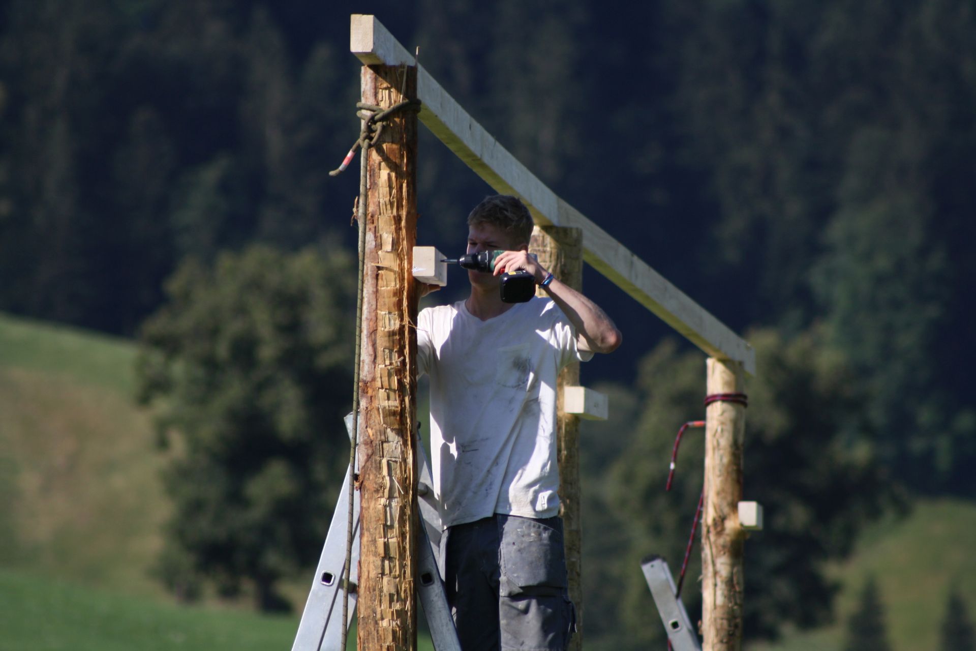 Bild 13