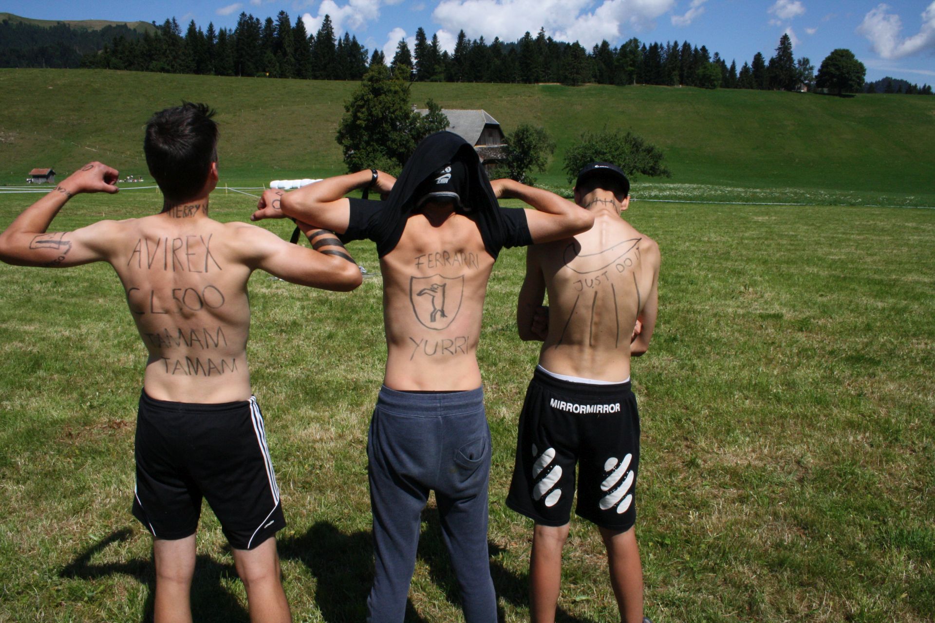 Bild 114