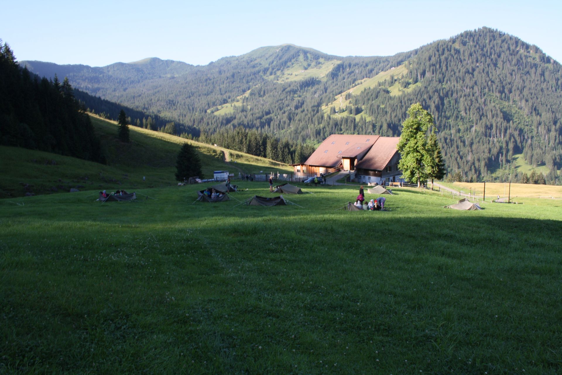 Bild 155