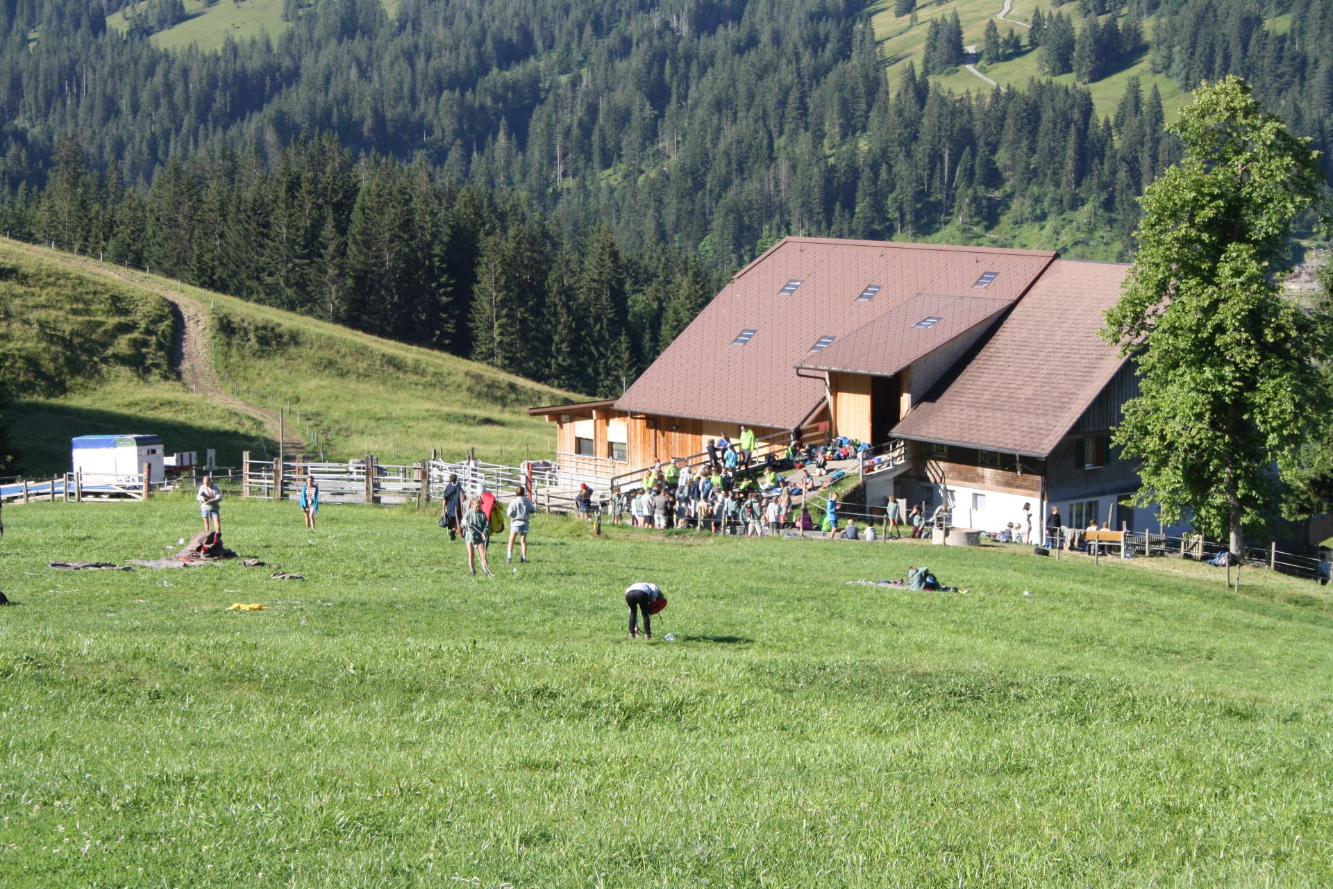 Bild 158