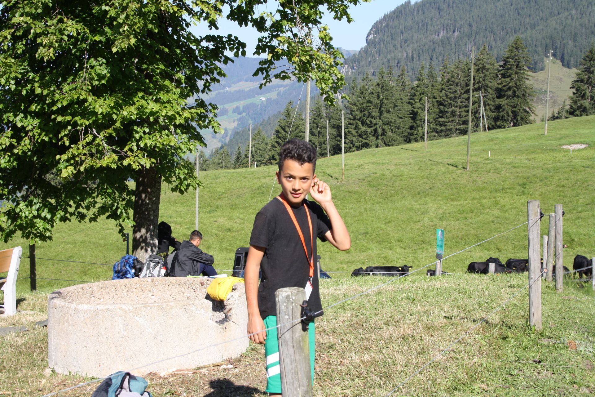 Bild 161
