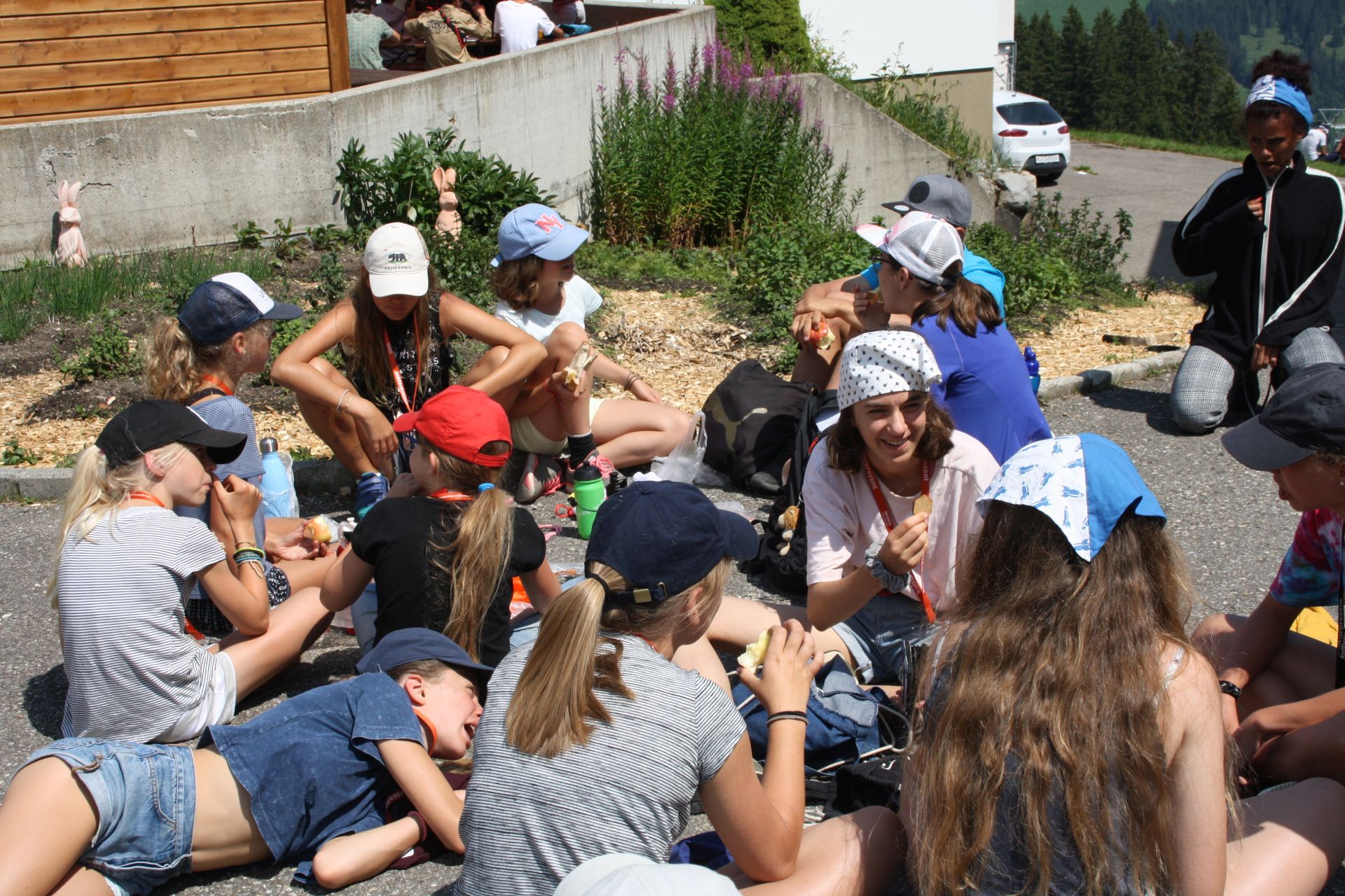 Bild 195